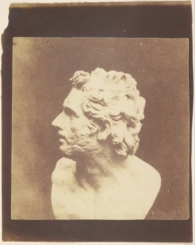Bust of Patroclus by William Henry Fox Talbot